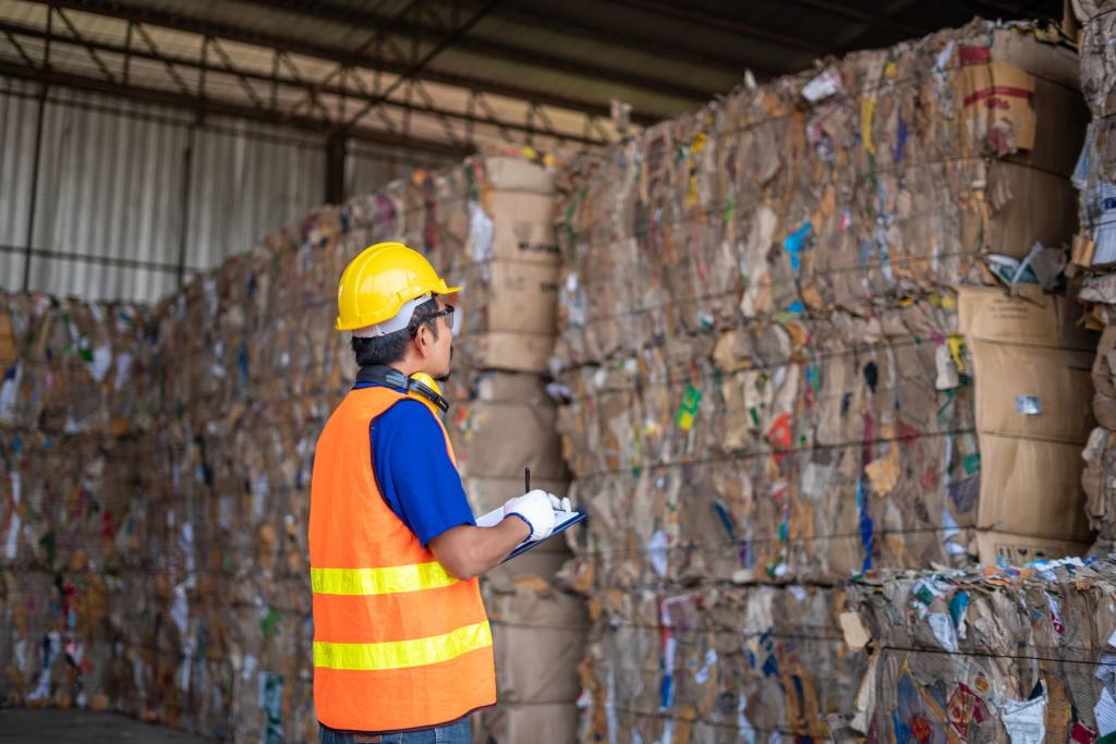 CleanFiber muốn biến hàng triệu tấn hộp giấy thành cách nhiệt